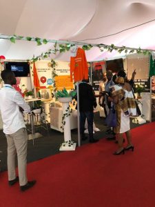 IMG_0124-e1517505124506